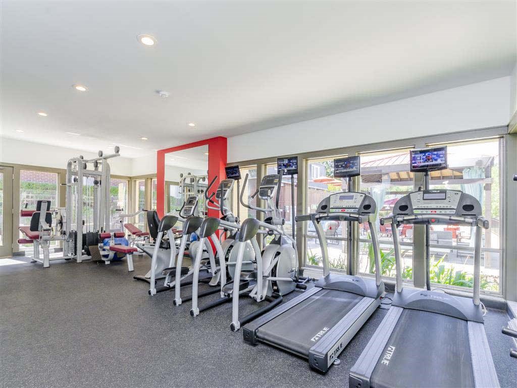 A gym with treadmills, exercise bikes, and other equipment.
