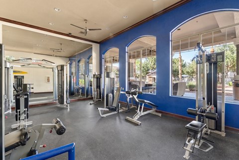 A gym with a variety of equipment including a treadmill, weights, and a bench press.