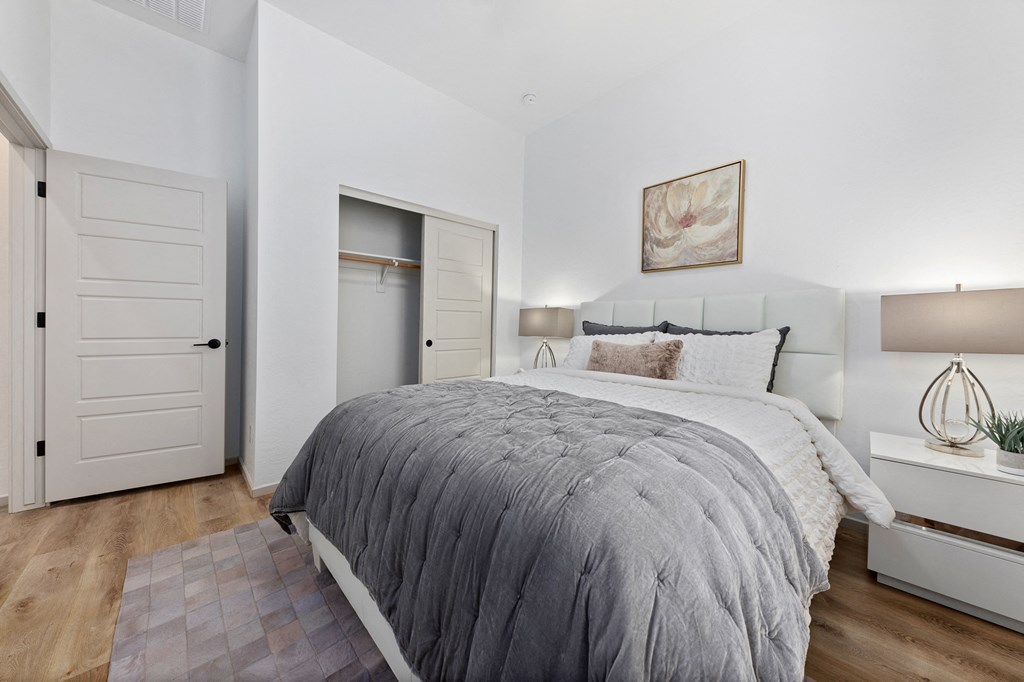 a bedroom with a bed and a closet