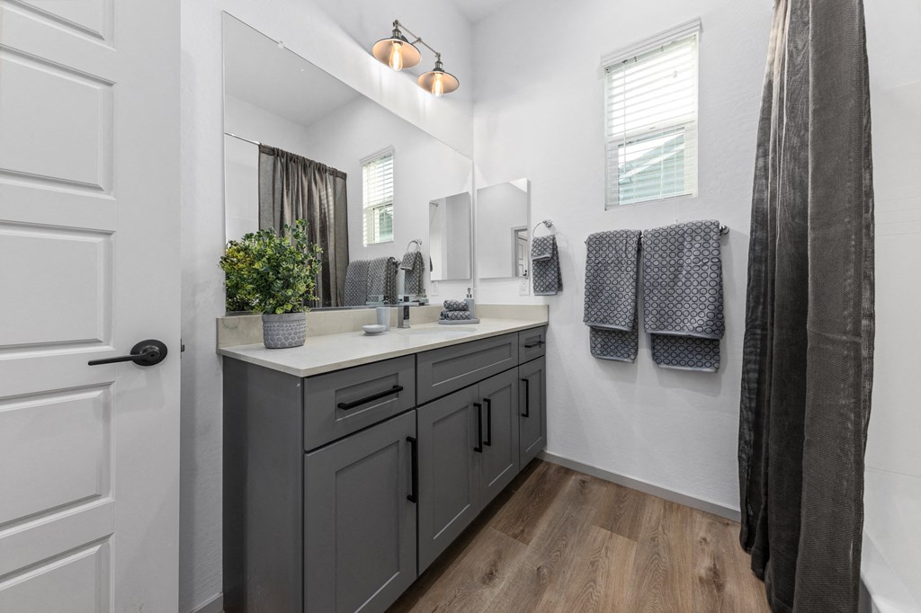 a bathroom with a sink and a mirror and a shower