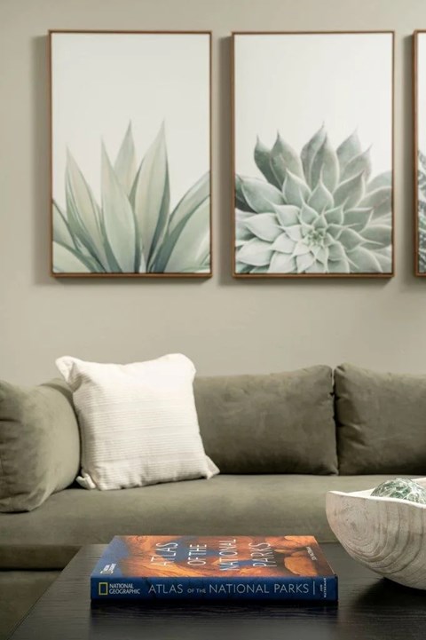 A living room with a grey couch, a coffee table with a book and a bowl on it, and two framed pictures of succulents on the wall.