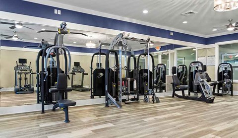 A gym with a variety of equipment including treadmills, weights, and exercise machines.