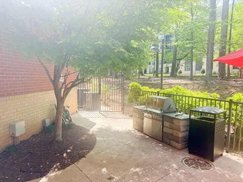 A tree in front of a brick wall.