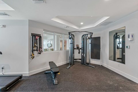 A gym with a bench, weights, and mirrors.