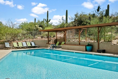 A pool surrounded by a wooden fence and cacti.