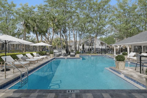 Sparkling Swimming Pool