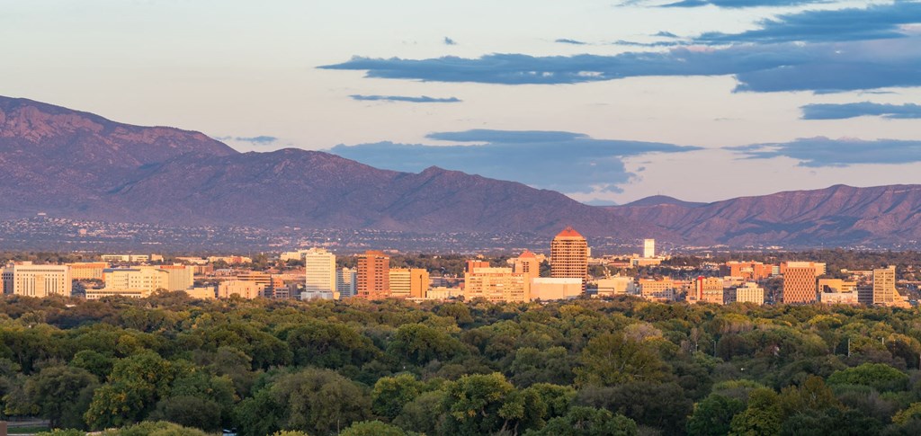 the city with mountains in the background