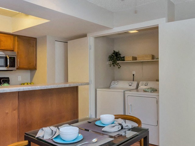 washer and dryer at Olive East Apartments