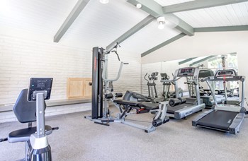 Gym - Photo Gallery 15