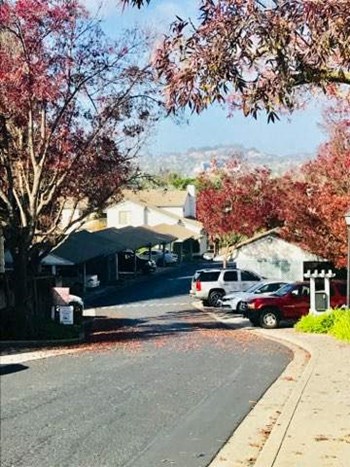 Main Driveway - Photo Gallery 2