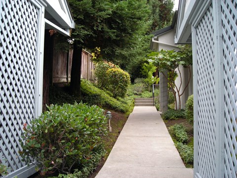 Walkway