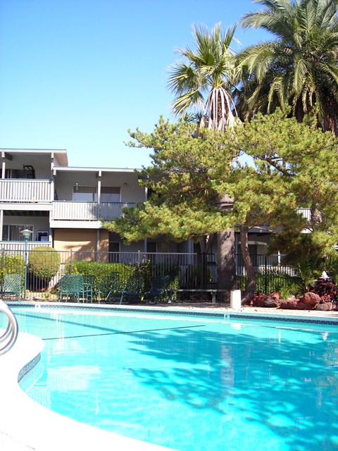 a large swimming pool in front of a building with palm trees