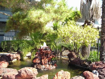 Garden - Photo Gallery 9