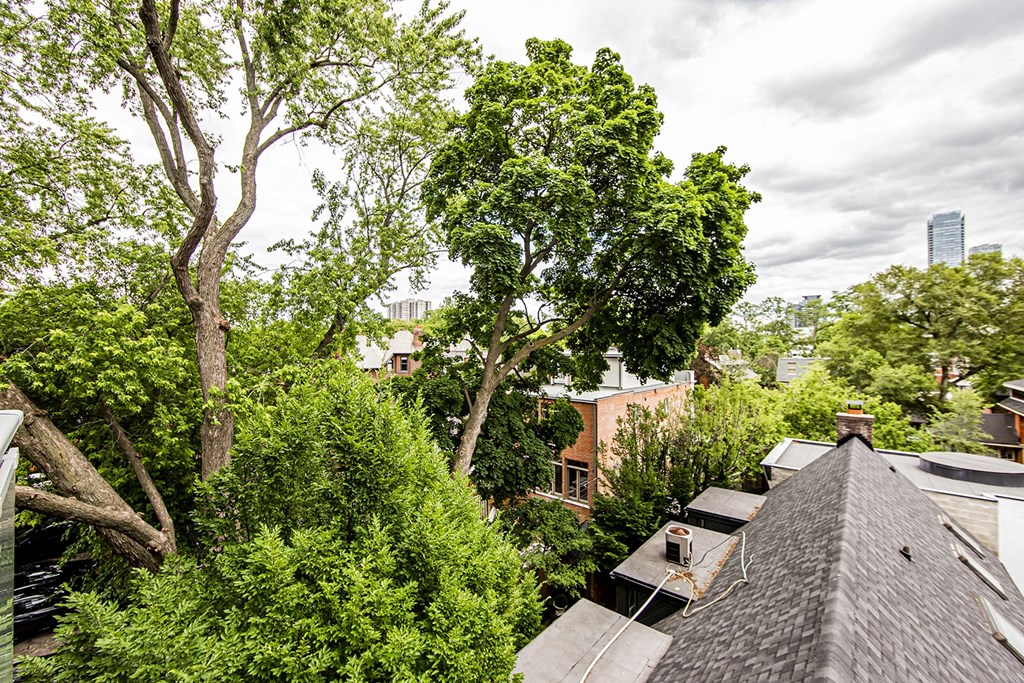 the view of the city from the roof of the house at 161 St. George, Toronto, CA