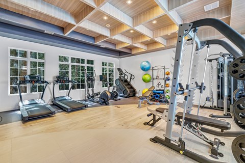 A gym with treadmills, weights, and exercise balls.