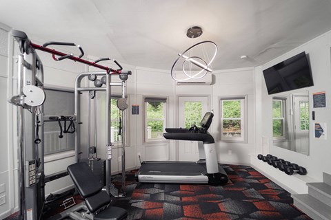 a home gym with exercise equipment and a tv