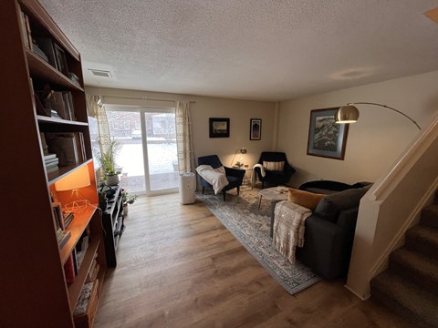 A living room with a couch, chair, and a rug.