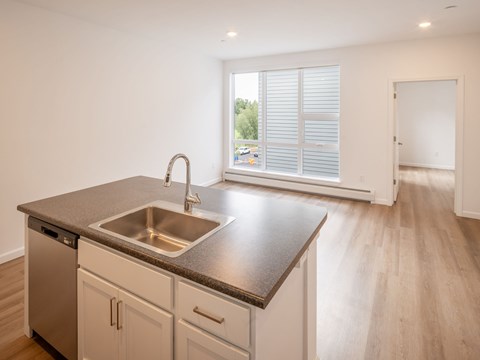 A kitchen with a stainless steel dishwasher and a granite countertop.