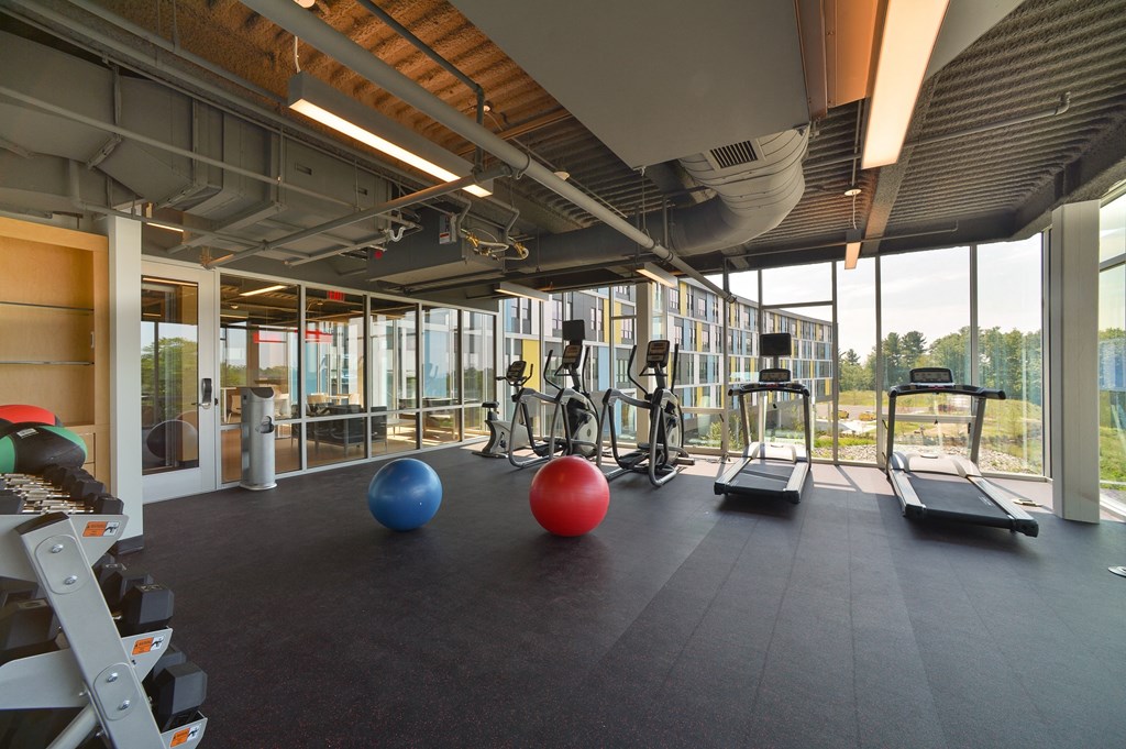 A gym with a row of treadmills and a row of exercise balls.