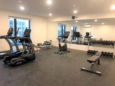 A gym with treadmills, weights, and exercise equipment.