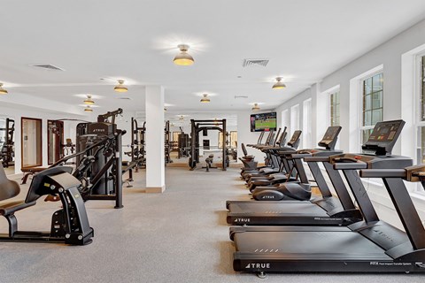 A gym with treadmills and other exercise equipment.