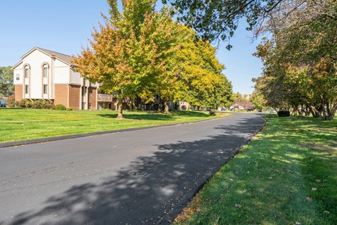 A tree with yellow leaves is in front of a white building.