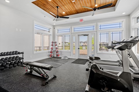 the gym with plenty of windows and exercise equipment at 1861 muleshoe road apartments