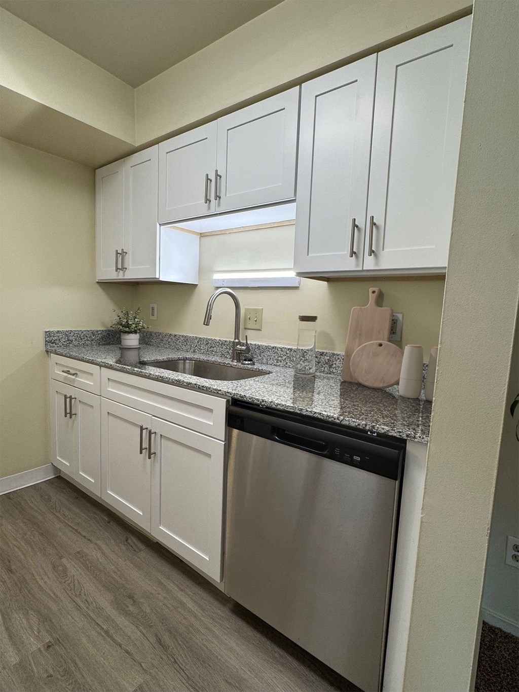 A kitchen with white cabinets and a stainless steel dishwasher.