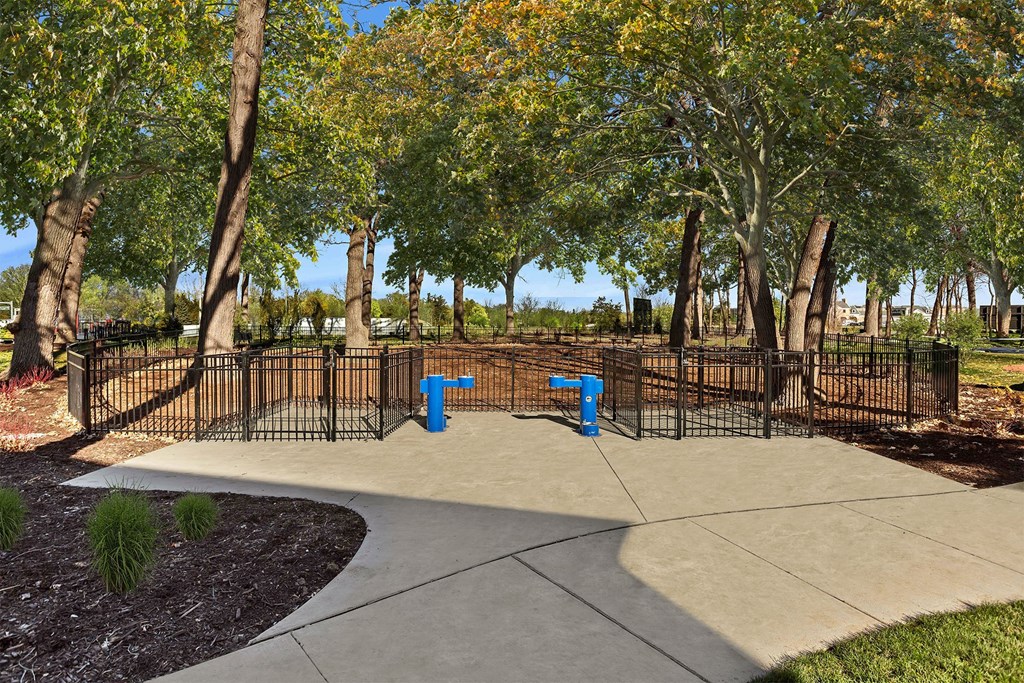 a park with a fenced in area with benches and trees