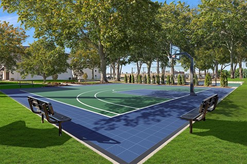 a basketball court in a park with trees