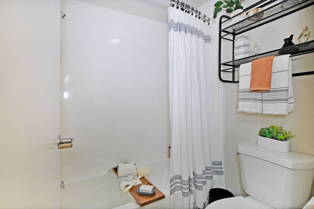 a bathroom with a shower and a toilet and a shower curtain