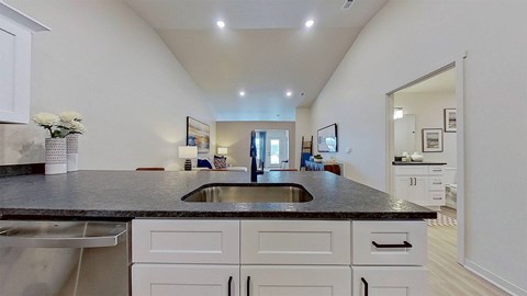 Wide angle of the kitchen sink with gooseneck faucet.