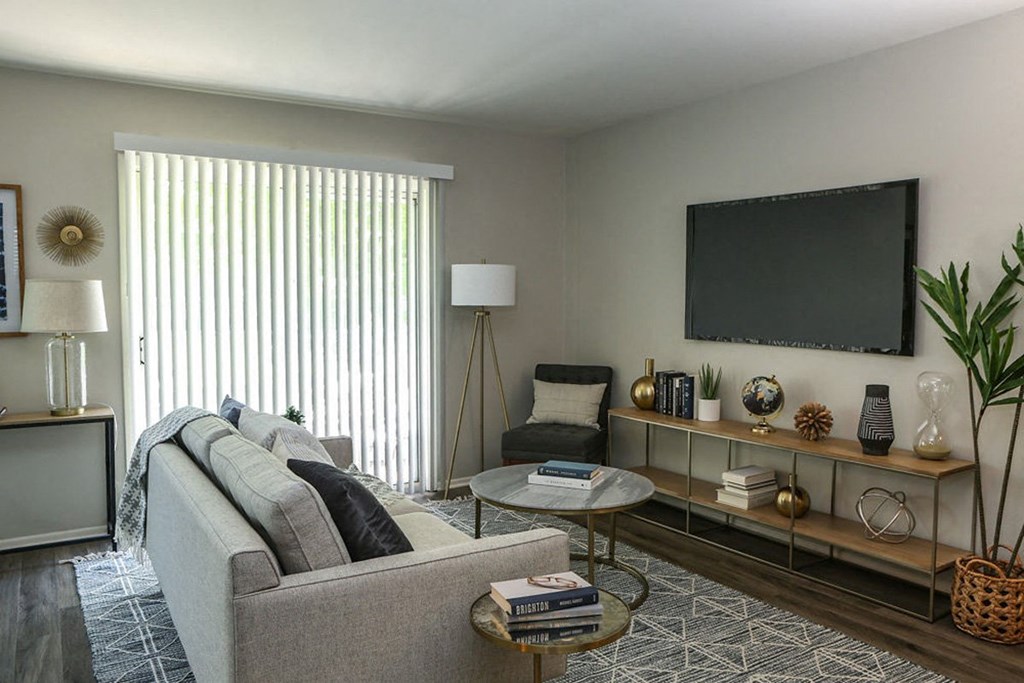 a living room with a couch and a television