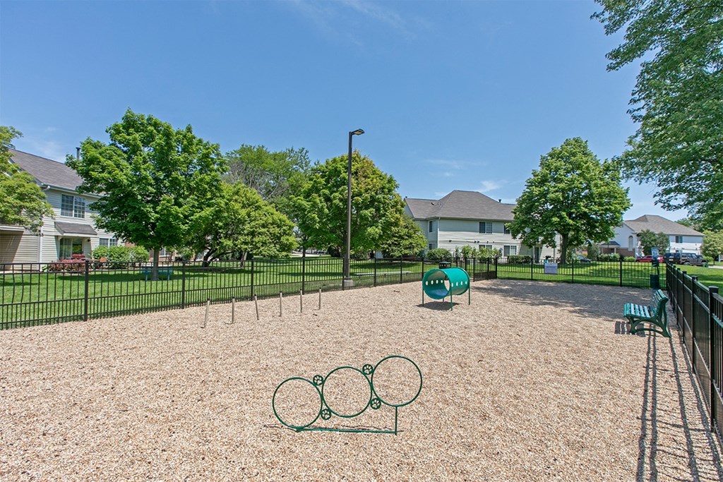 the preserve at ballantyne commons dog park