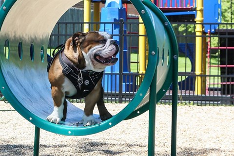 Arlington Club Apartments