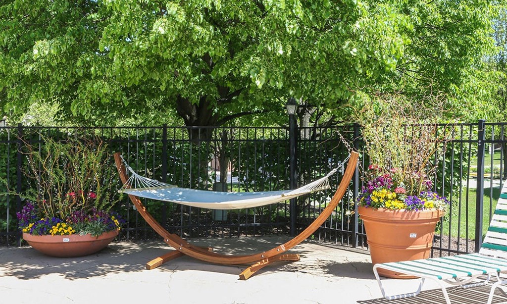 a hammock in a courtyard with plants and a bench