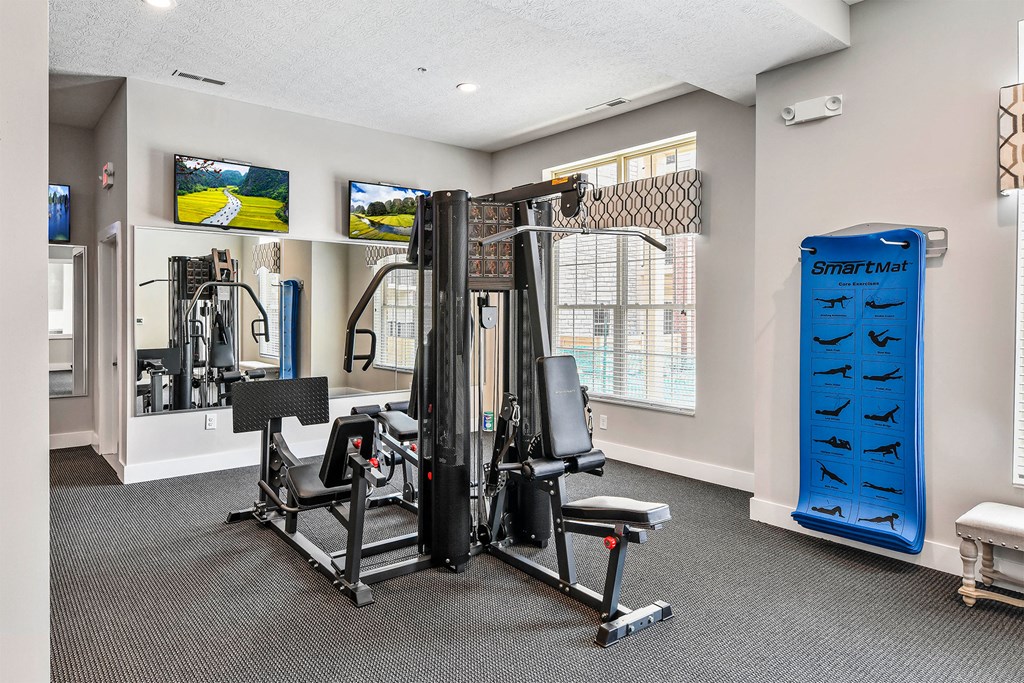 A gym with a variety of equipment including a treadmill, weights, and a bench press.