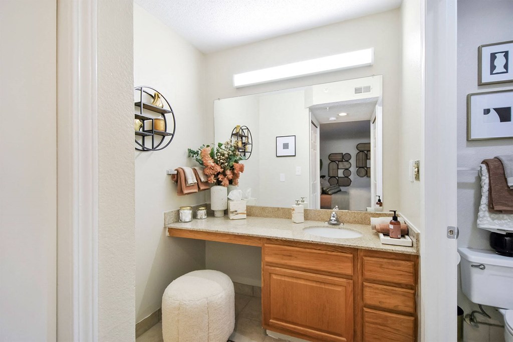 a bathroom with a sink and a mirror and a toilet