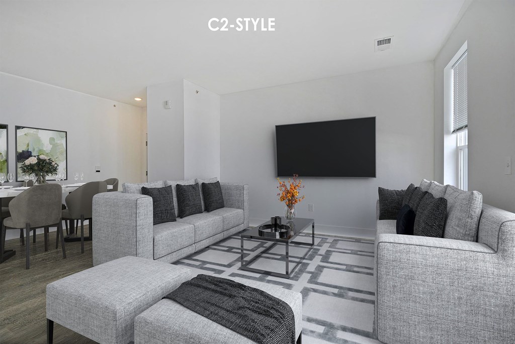 A living room with a grey couch and a black television.