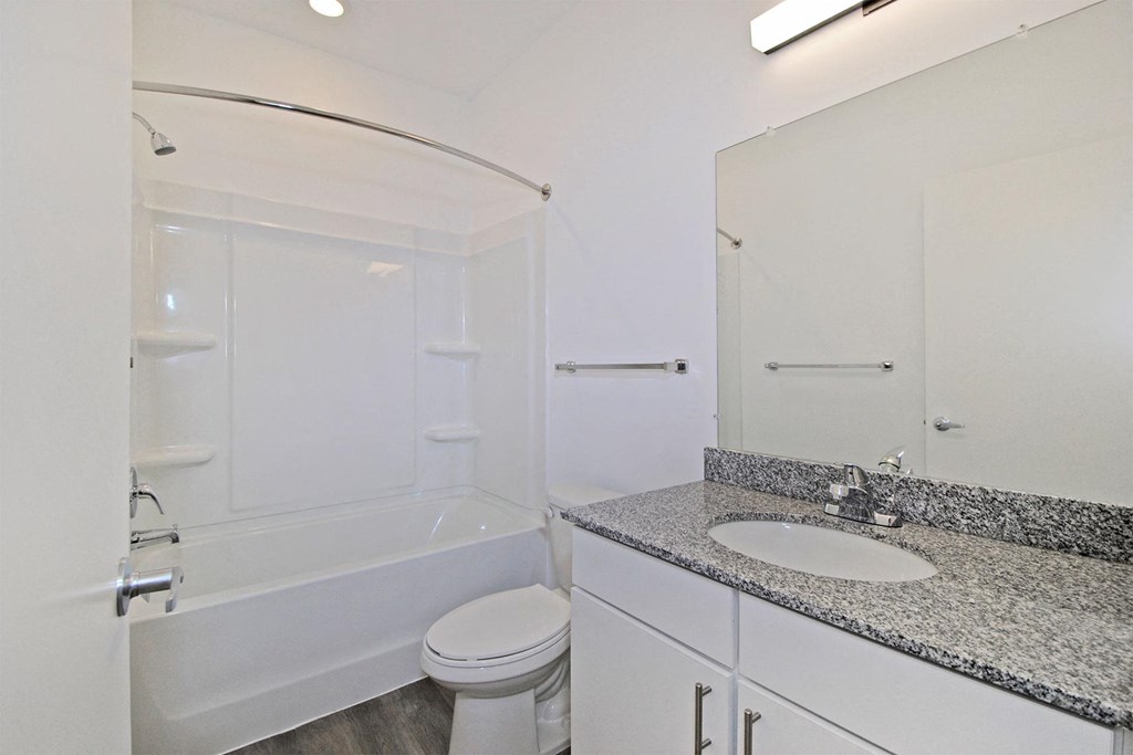 a bathroom with a sink and a toilet and a shower