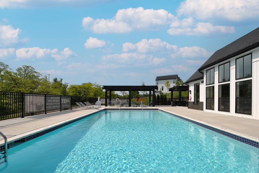 A swimming pool in a sunny backyard.