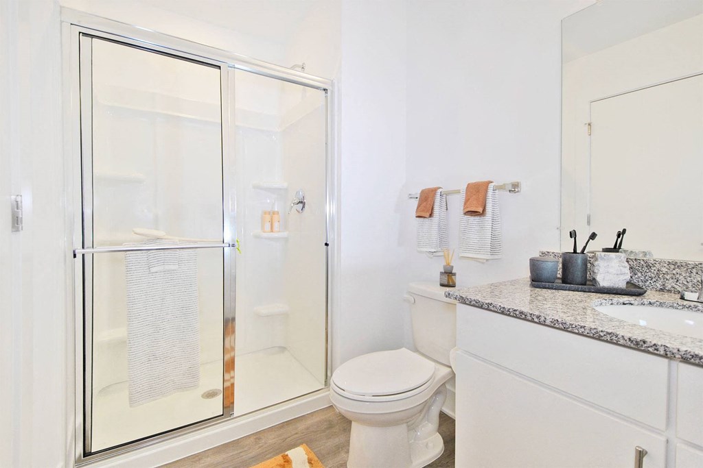 a bathroom with a shower and a toilet and a sink