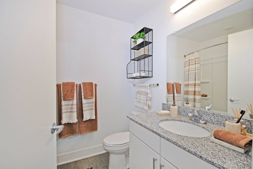 a bathroom with a sink and a toilet and a mirror