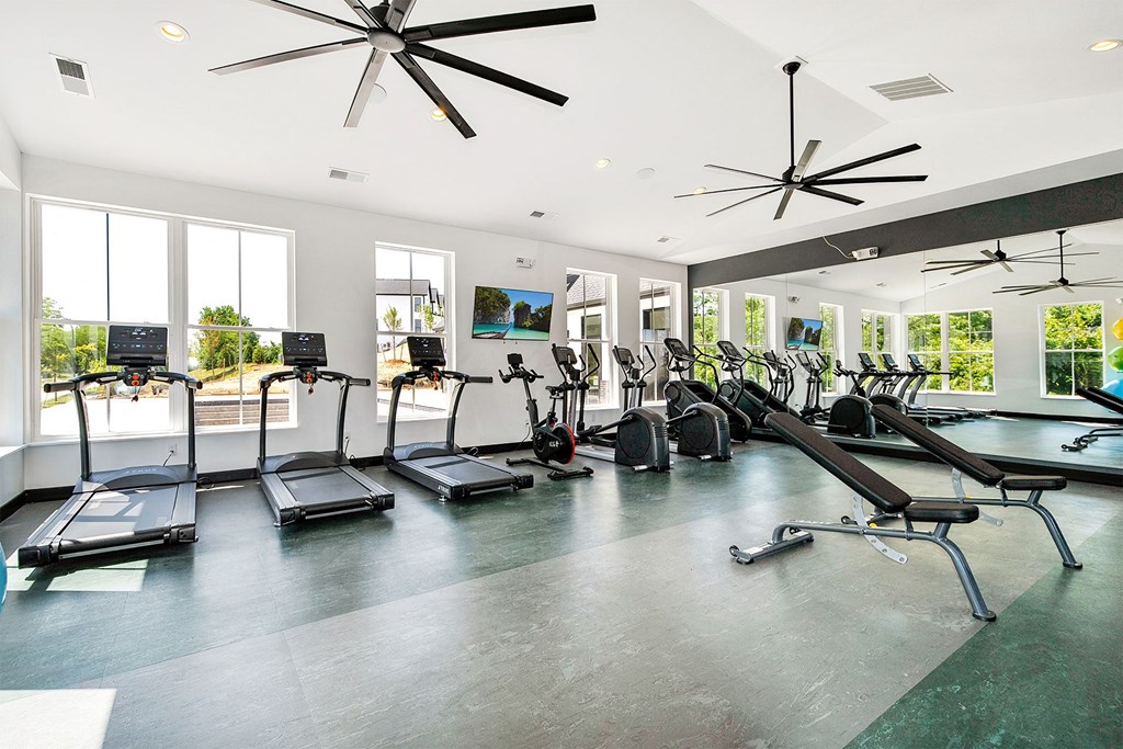the gym has plenty of cardio equipment and windows