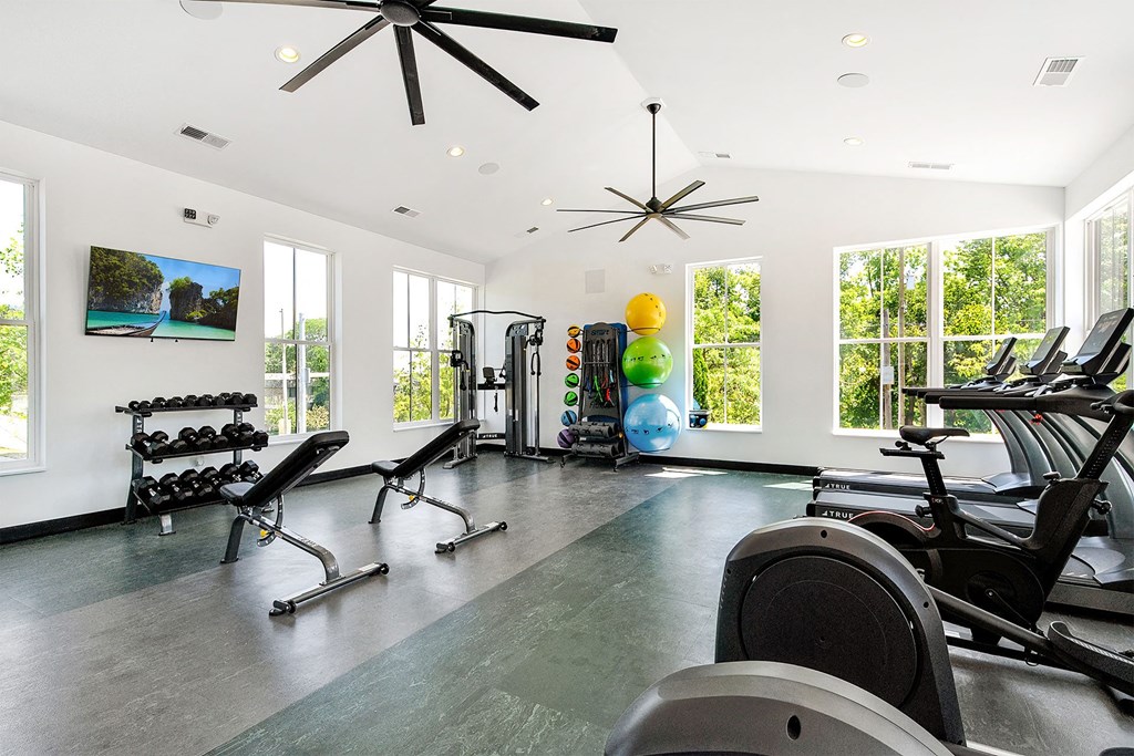 the gym has plenty of exercise equipment and windows