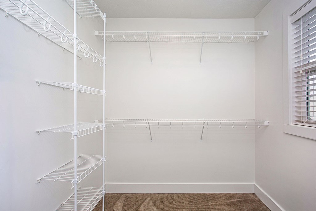 A white pantry with shelves and a window.