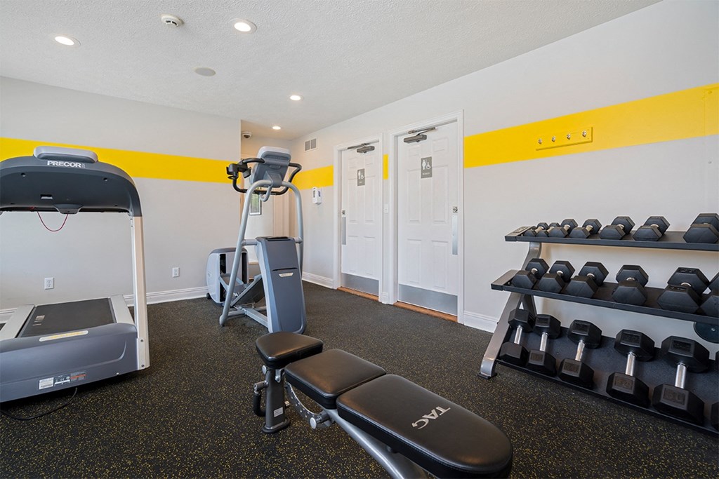 a gym with cardio equipment and weights on a rack