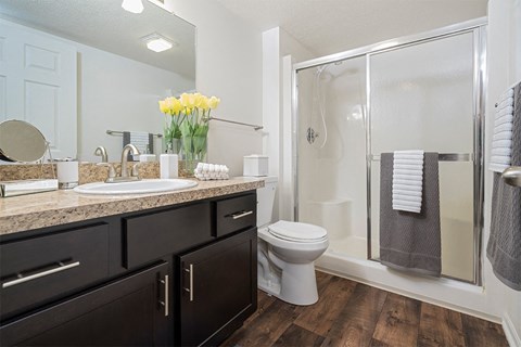 a bathroom with a shower toilet and sink and a mirror