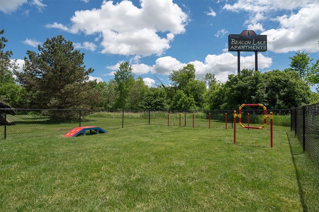 dog park with agility equipment
