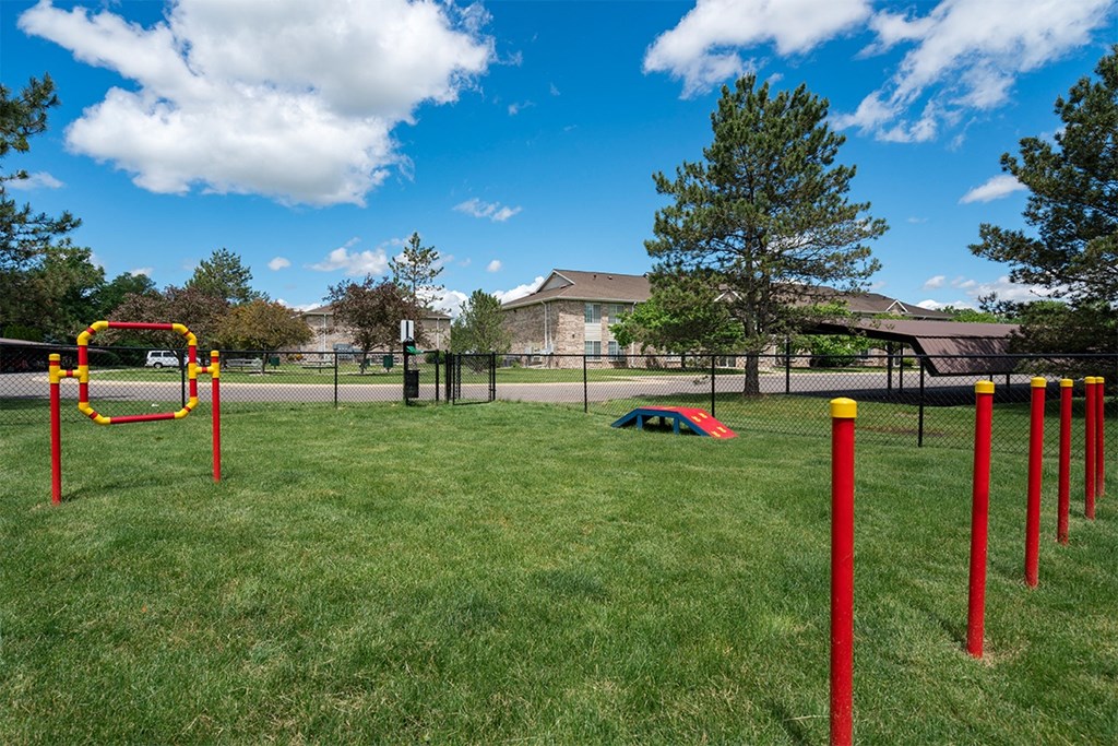 dog park with agility equipment